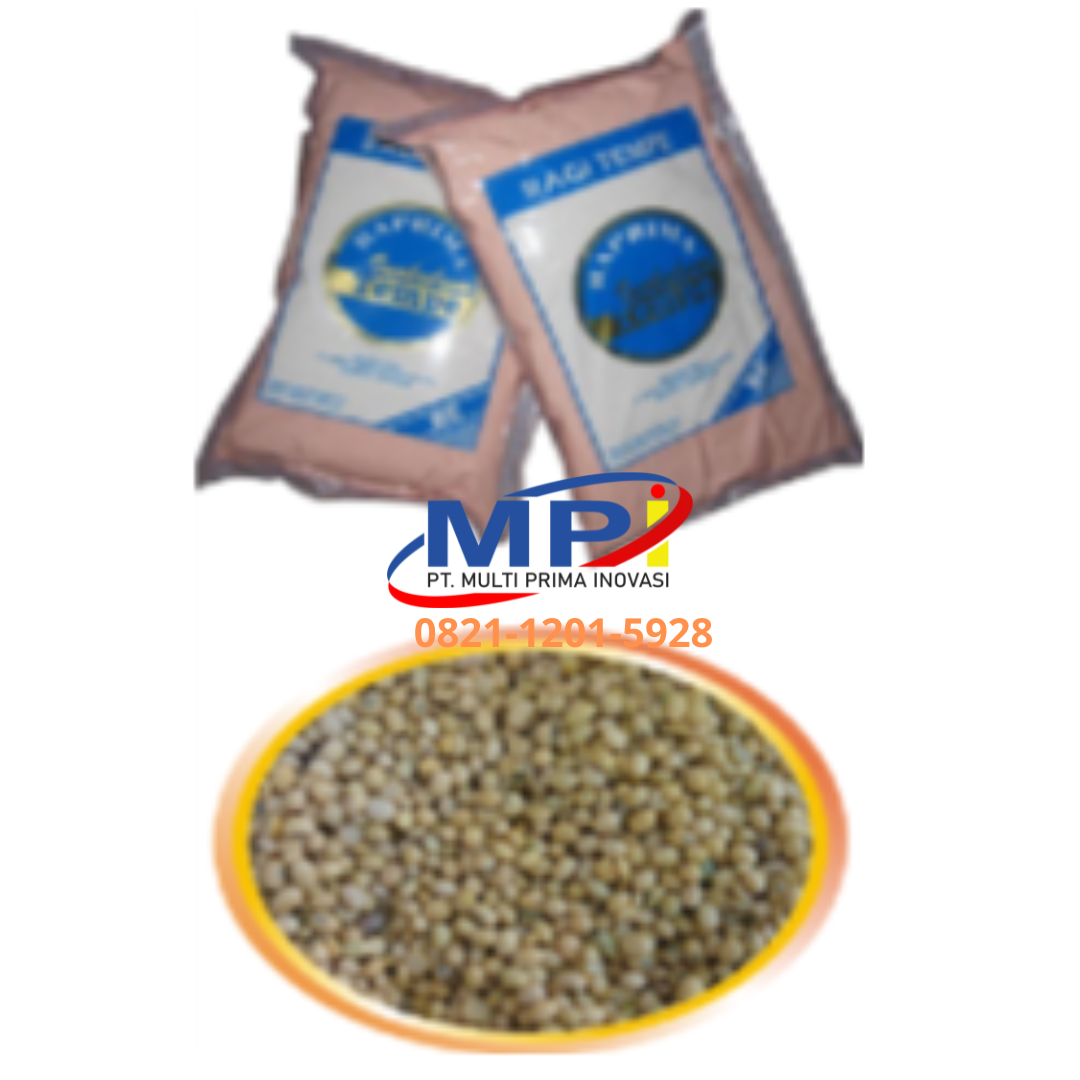 Ragi Tempe & Kacang kedelai